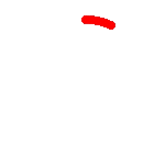 loader image